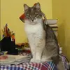 Отзыв от Зоя Русакова
